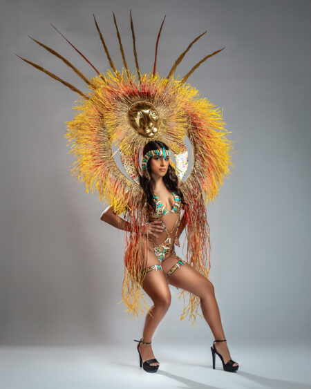 Shumba Spirit – Female - Frontline - Feathers